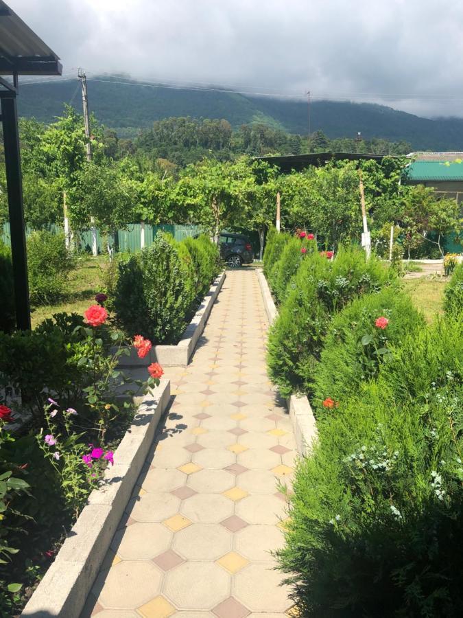 Inn Aхчыпсы Gagra Bagian luar foto