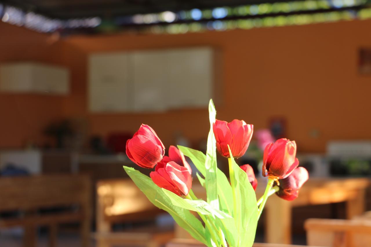 Inn Aхчыпсы Gagra Bagian luar foto