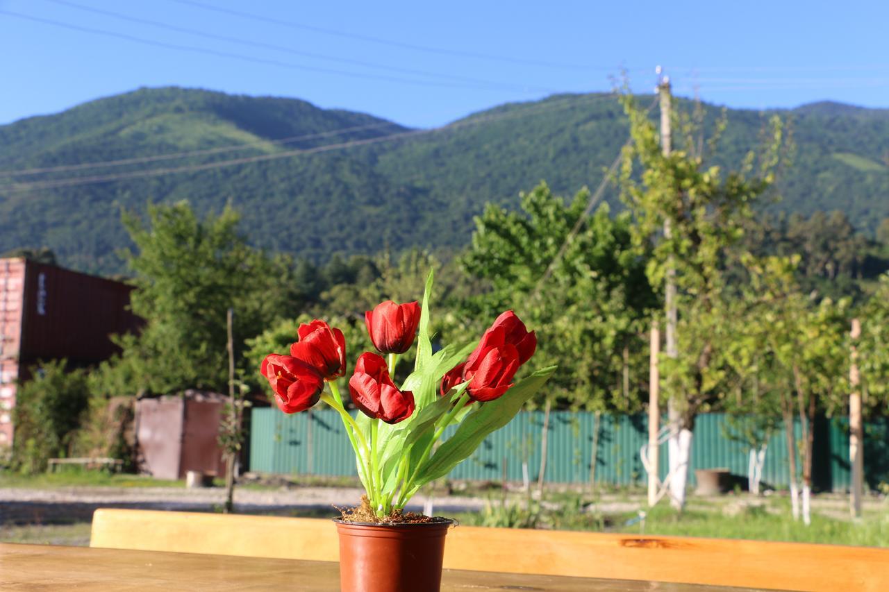 Inn Aхчыпсы Gagra Bagian luar foto