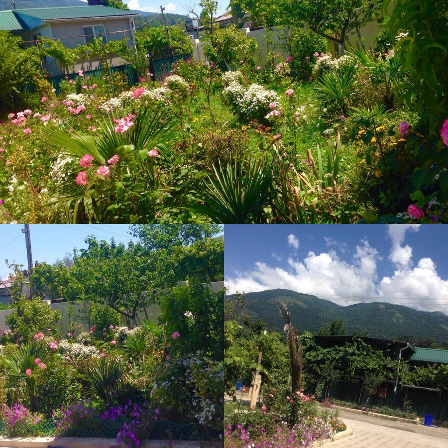 Inn Aхчыпсы Gagra Bagian luar foto